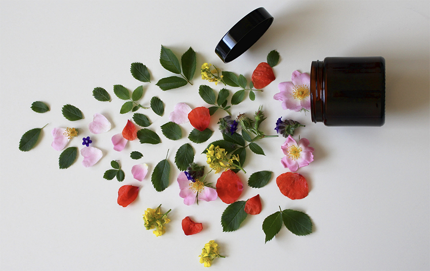 should we give up drugs in favour of plants